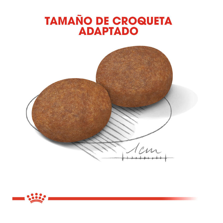 Royal Canin Adult +7 Medium ração para cães, , large image number null